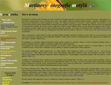 Tablet Screenshot of 213.cz